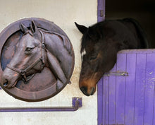 Load image into Gallery viewer, EQUINE STABLE PLAQUE/ HORSE ROUNDEL - CAST IRON TYPE FINISH